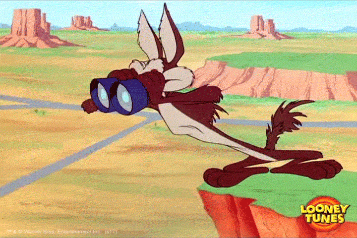 Looney Tunes searching
